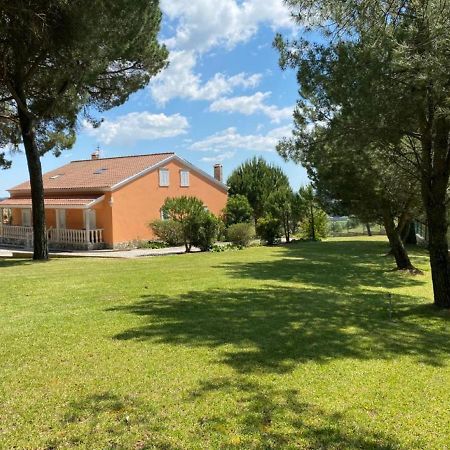 Quinta Do Alto Dos Pinheiros Villa Sao Joao da Ribeira Ngoại thất bức ảnh