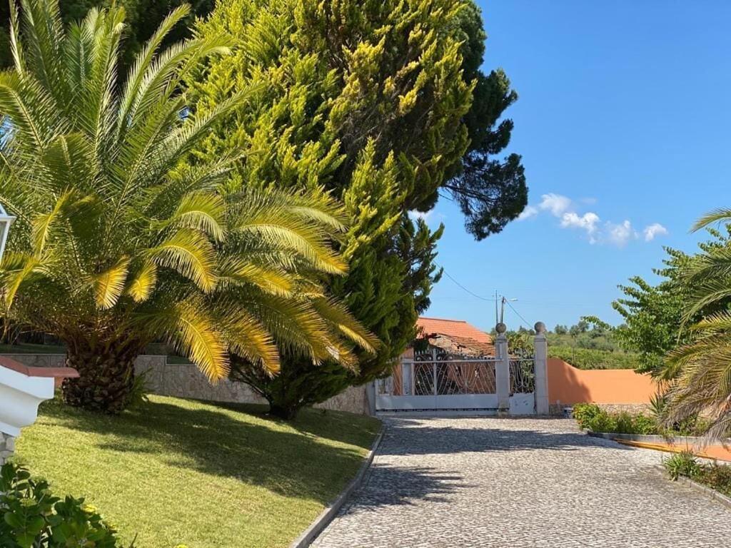 Quinta Do Alto Dos Pinheiros Villa Sao Joao da Ribeira Ngoại thất bức ảnh
