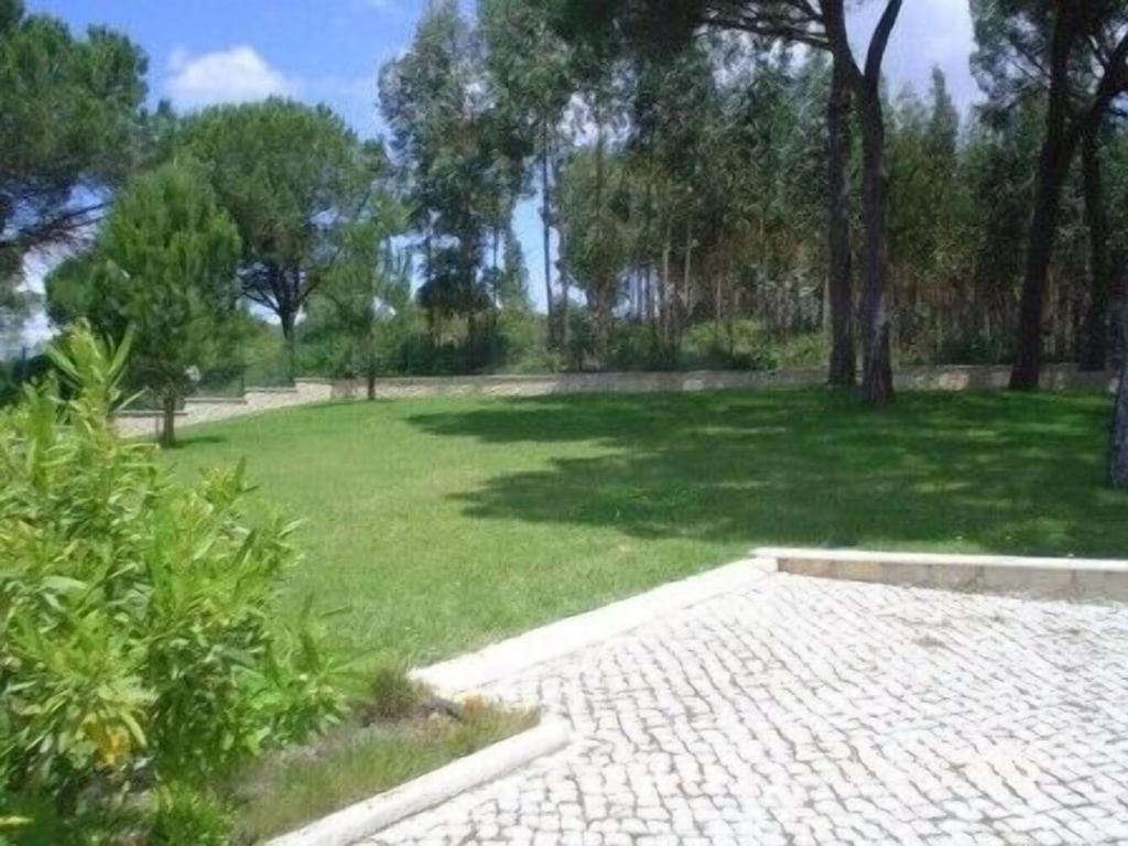 Quinta Do Alto Dos Pinheiros Villa Sao Joao da Ribeira Ngoại thất bức ảnh