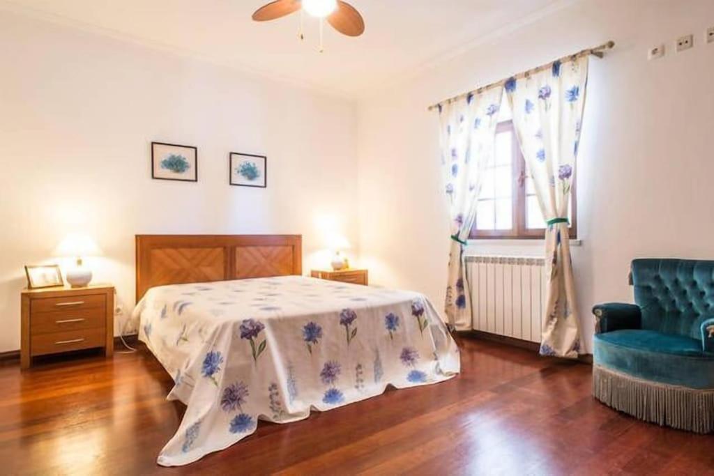 Quinta Do Alto Dos Pinheiros Villa Sao Joao da Ribeira Ngoại thất bức ảnh