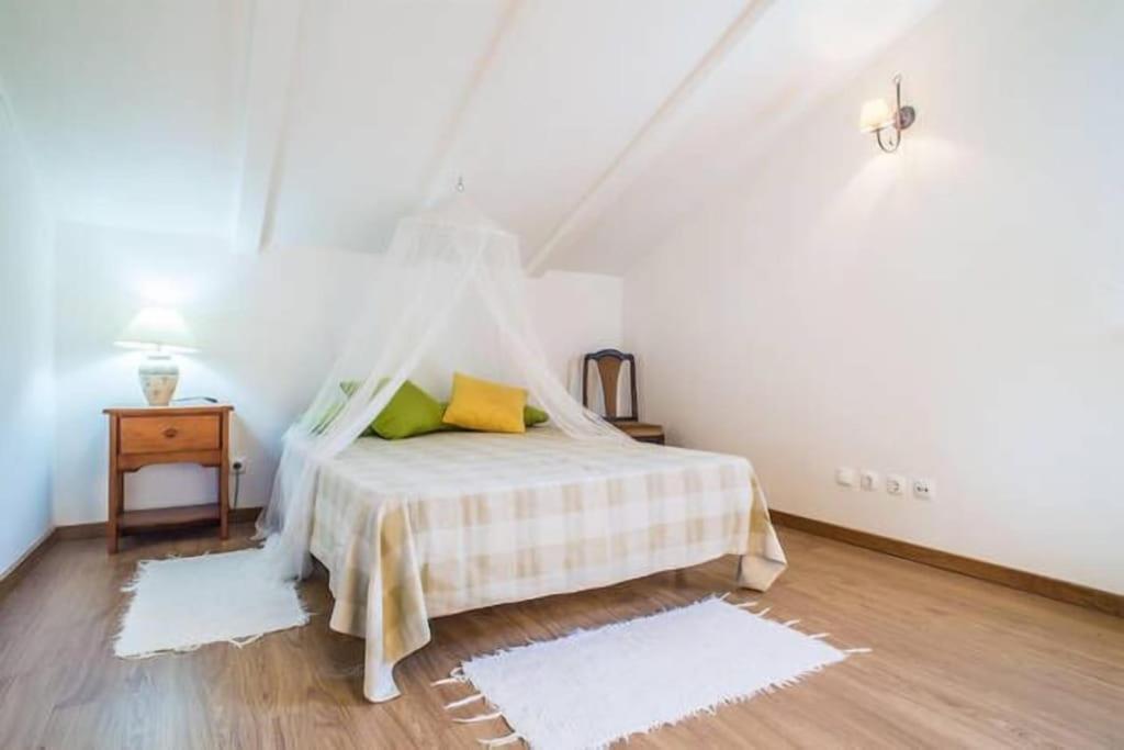 Quinta Do Alto Dos Pinheiros Villa Sao Joao da Ribeira Ngoại thất bức ảnh