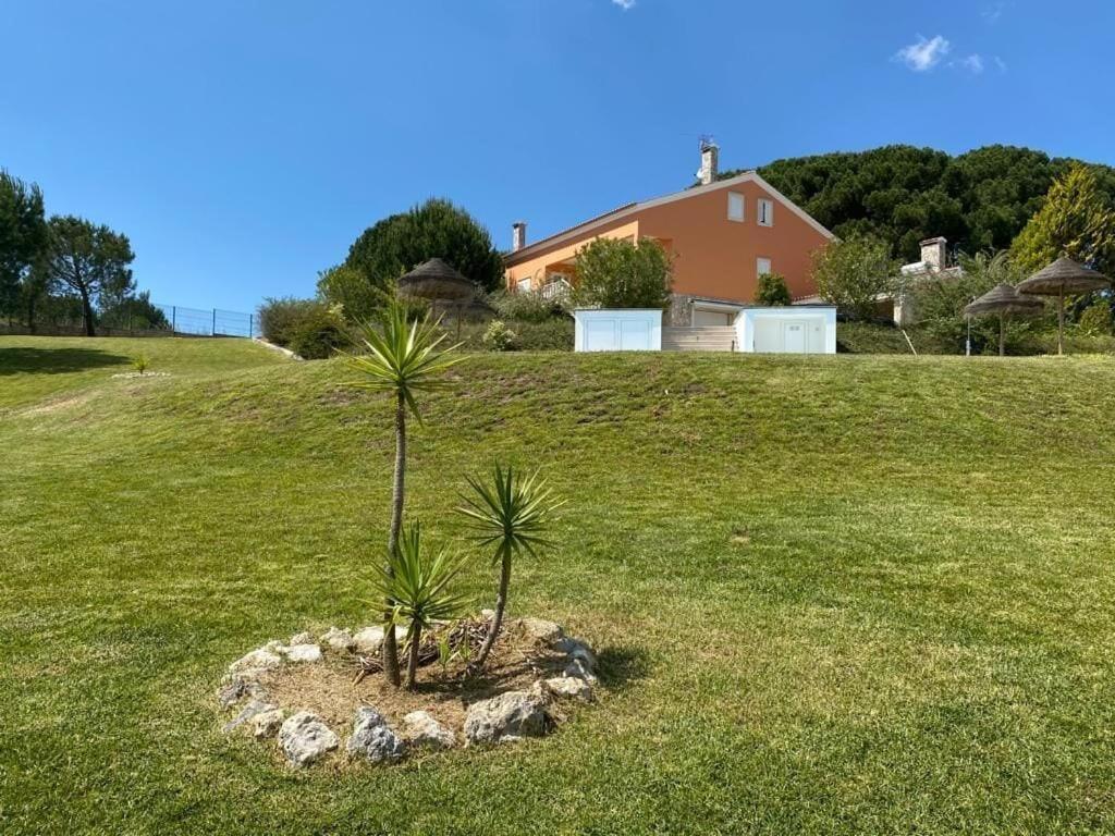 Quinta Do Alto Dos Pinheiros Villa Sao Joao da Ribeira Ngoại thất bức ảnh