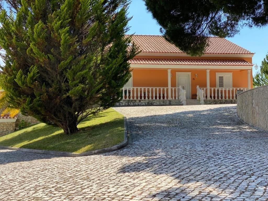 Quinta Do Alto Dos Pinheiros Villa Sao Joao da Ribeira Ngoại thất bức ảnh